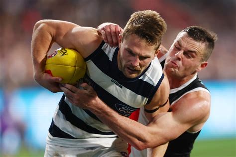 st kilda v geelong cats odds|St Kilda Saints vs Geelong Cats Odds, Tips, Predictions and Teams – AFL.